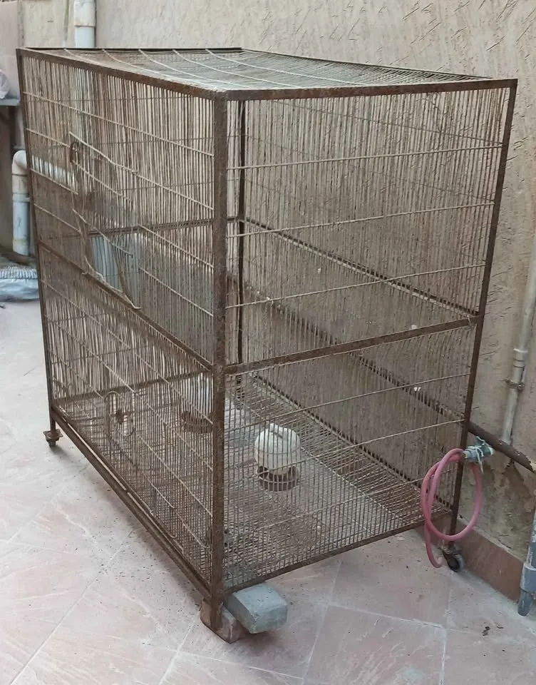 Hen Cages for 1 Portions available For Sale in DHA Defence | Karachi Ads - photo 1