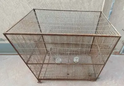 Hen Cages for 1 Portions available For Sale in DHA Defence | Karachi Ads - photo 2