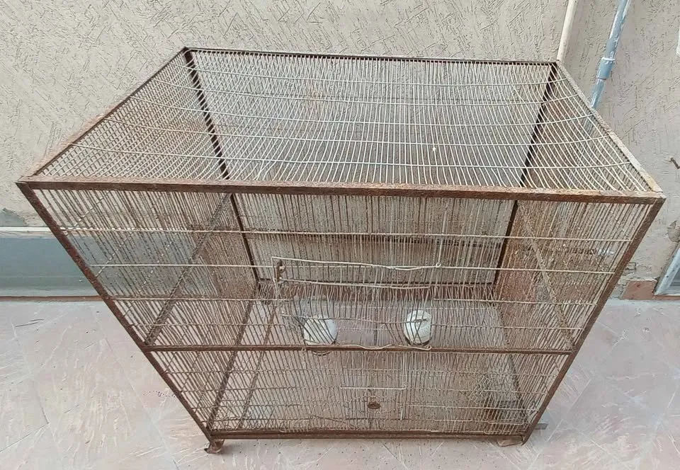 Hen Cages for 1 Portions available For Sale in DHA Defence | Karachi Ads - photo 2
