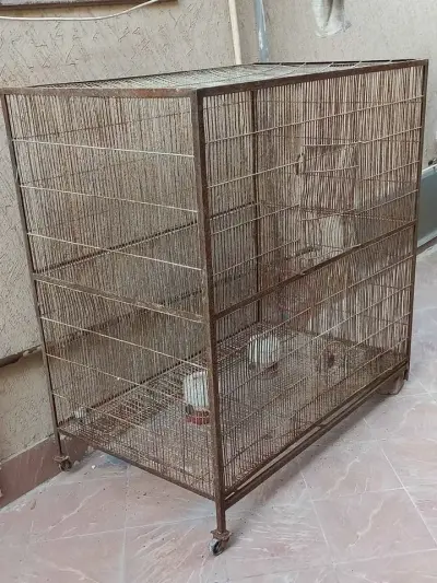 Hen Cages for 1 Portions available For Sale in DHA Defence | Karachi Ads - photo 3