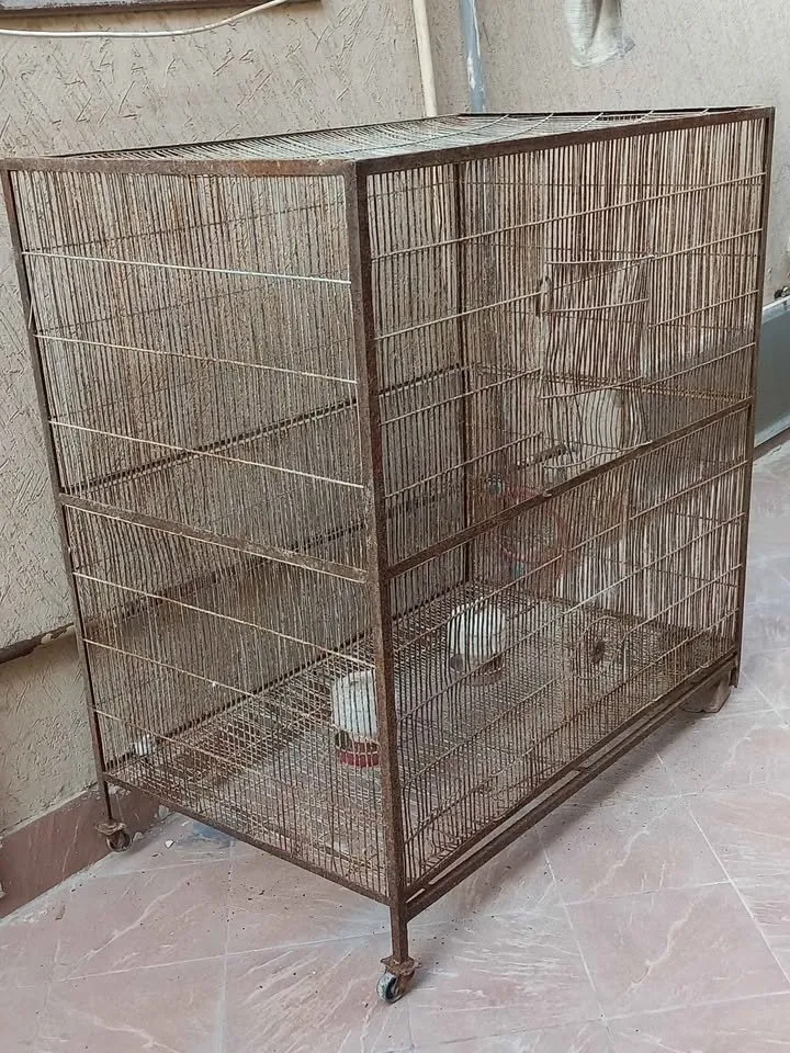Hen Cages for 1 Portions available For Sale in DHA Defence | Karachi Ads - photo 3