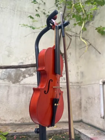 It’s a perfect violin 🎻 for students and beginners orignal us imported Stentor Violin - photo 2
