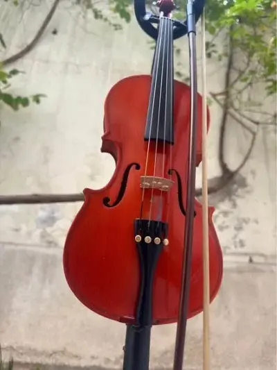 It’s a perfect violin 🎻 for students and beginners orignal us imported Stentor Violin - photo 4