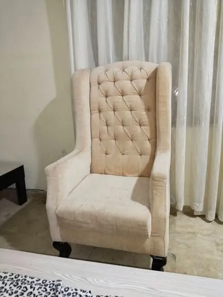 Luxury Chairs for Sale β Space Issue - photo 1
