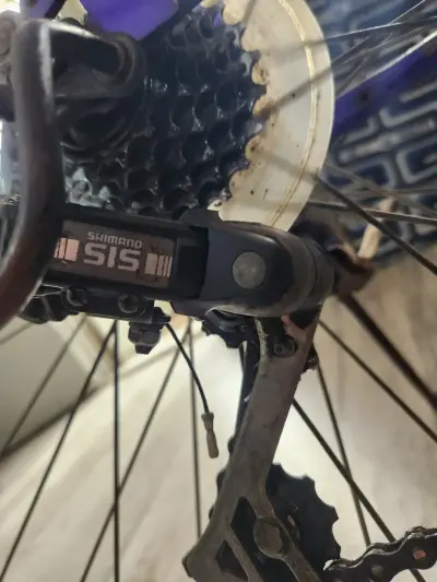 Malaysian cycle
