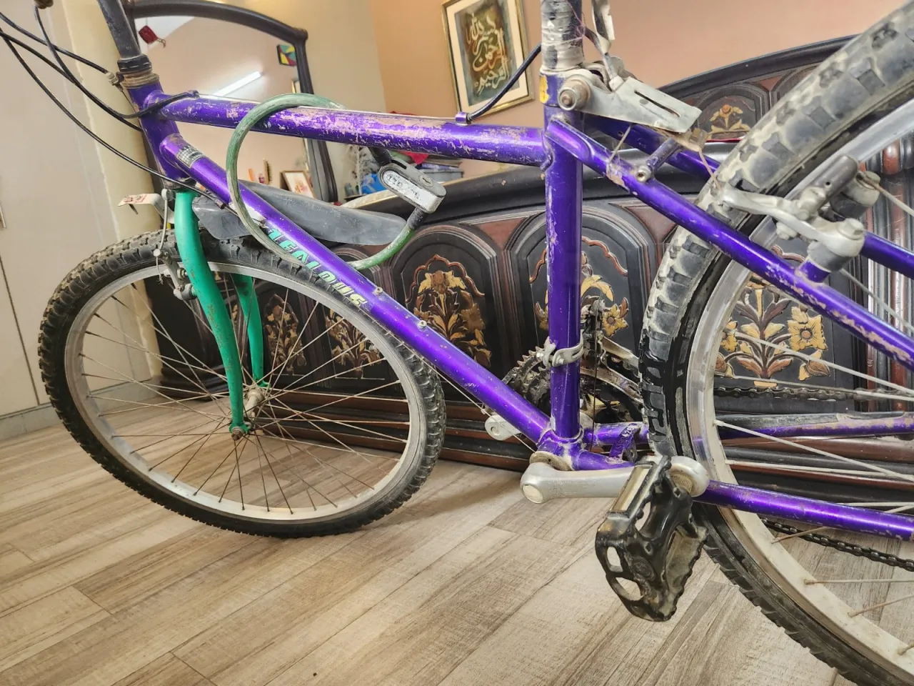 Malaysian cycle - photo 4