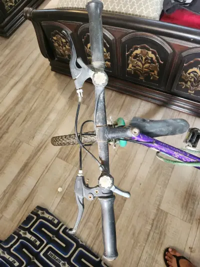 Malaysian cycle - photo 6