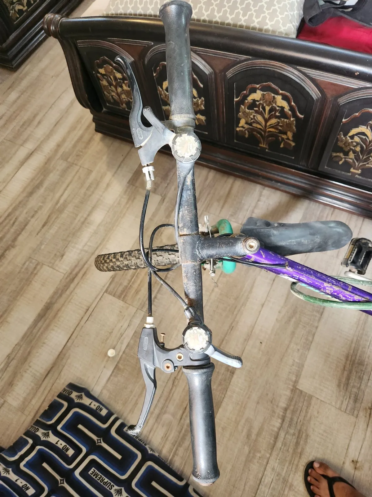 Malaysian cycle - photo 6