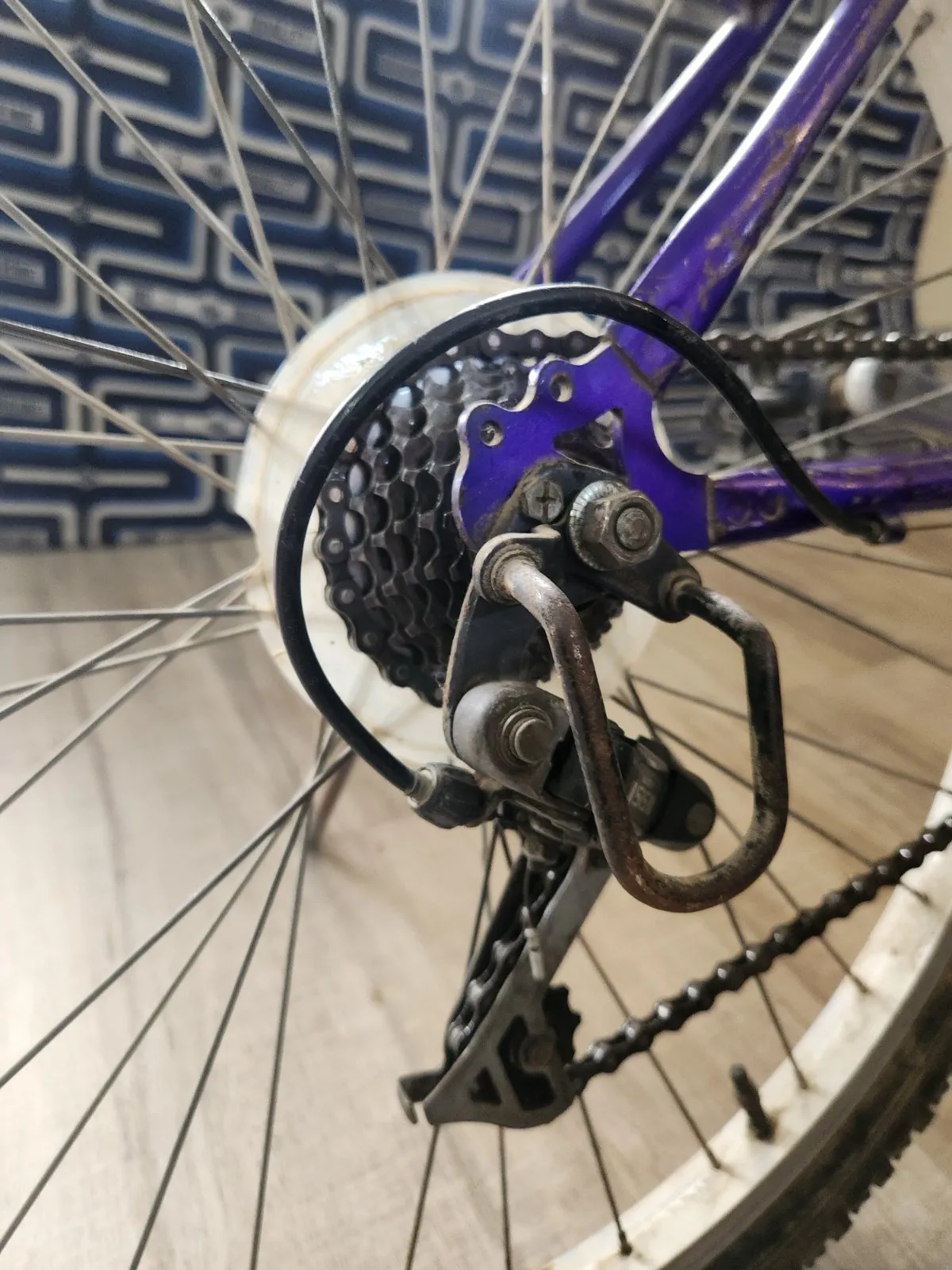 Malaysian cycle - photo 8