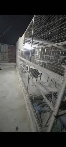 Master cage big size cage For Sale in Nazimabad No. 1 | Karachi Ads - photo 2
