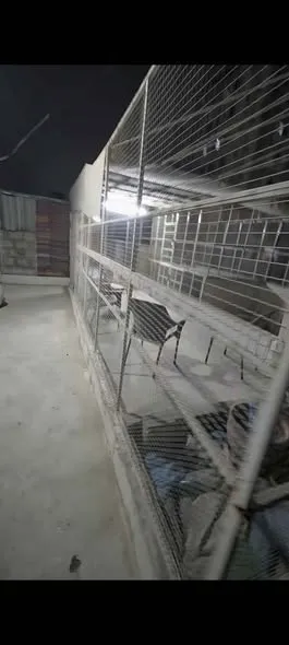 Master cage big size cage For Sale in Nazimabad No. 1 | Karachi Ads - photo 2