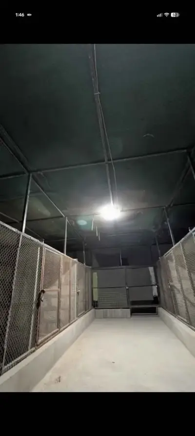 Master cage big size cage For Sale in Nazimabad No. 1 | Karachi Ads - photo 5