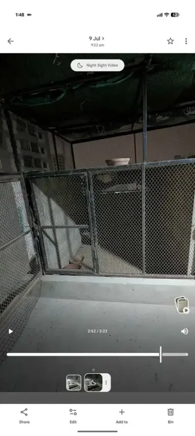 Master cage big size cage For Sale in Nazimabad No. 1 | Karachi Ads - photo 7
