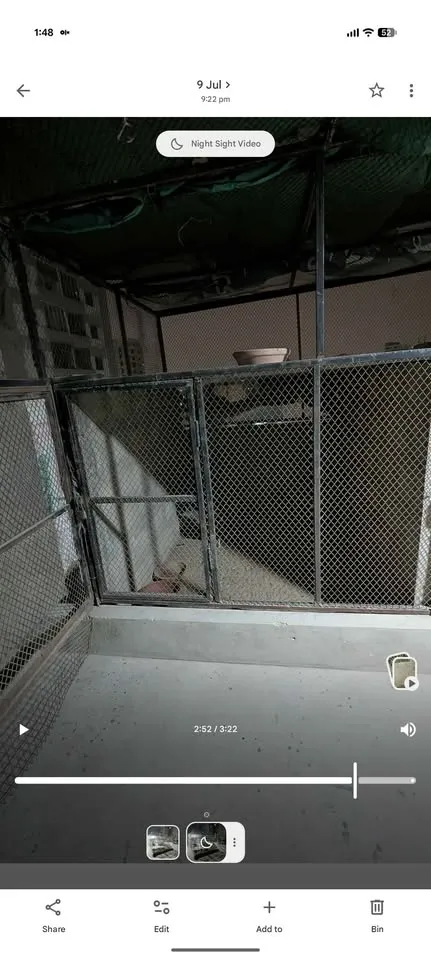 Master cage big size cage For Sale in Nazimabad No. 1 | Karachi Ads - photo 7