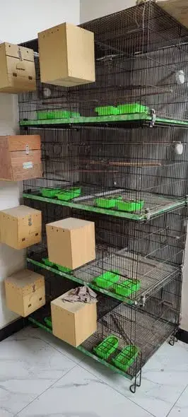 Master Folding Cage 8 Portion For Sale in North Nazimabad | Karachi Ads
