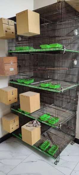 Master Folding Cage 8 Portion For Sale in North Nazimabad | Karachi Ads - photo 1