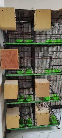 Master Folding Cage 8 Portion For Sale in North Nazimabad | Karachi Ads - photo 2