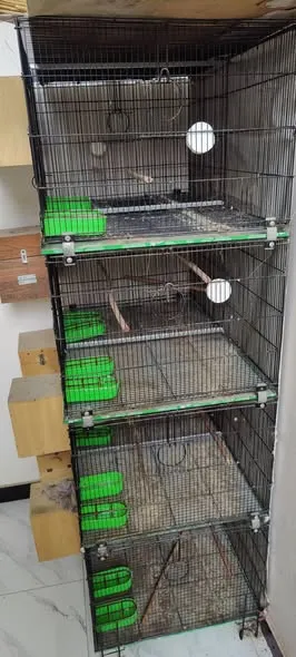 Master Folding Cage 8 Portion For Sale in North Nazimabad | Karachi Ads - photo 3