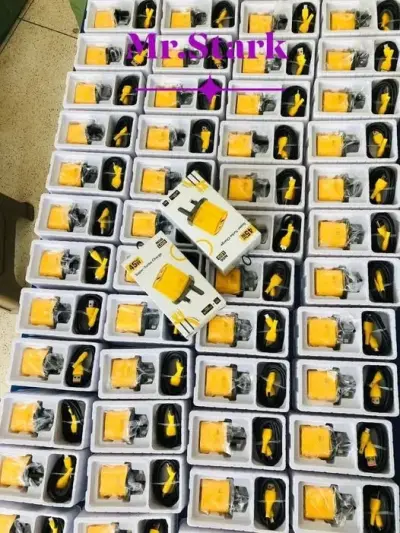 Mobile Phone Charger