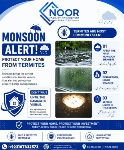 Monsoon Alert – Protect Your Home from Termites in Gulistan-e-Jauhar | Karachi Ads