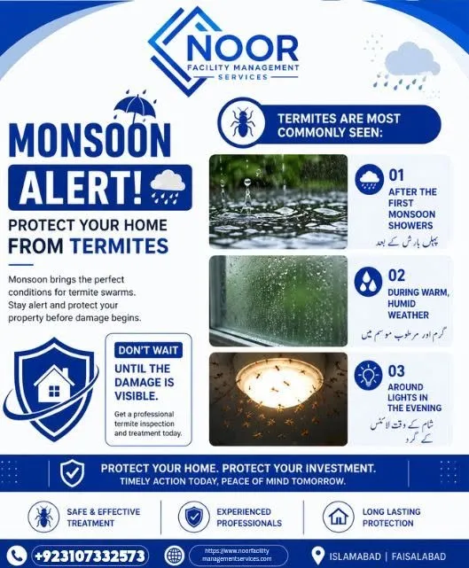 Monsoon Alert β Protect Your Home from Termites in Gulistan-e-Jauhar | Karachi Ads - photo 1