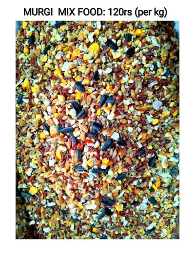 Murgi mix food (Dana) For Sale in Gulistan-e-Jauhar | Karachi Ads