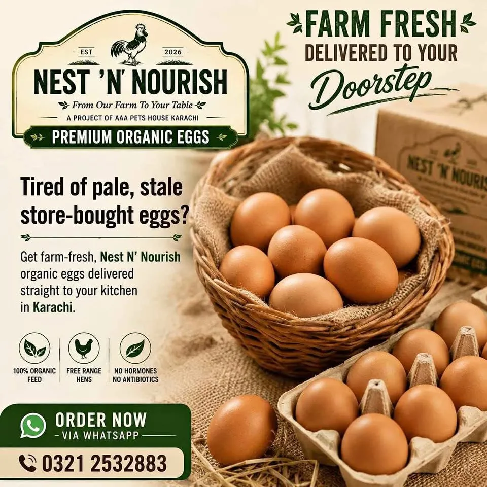 Organic eggs For Sale in Gulistan-e-Jauhar | Karachi Ads - photo 1