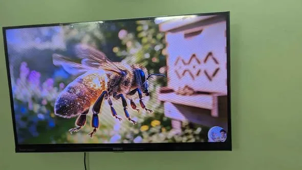 Orient android led 32 inch with box remote wall mount For Sale in Malir, Karachi - photo 4