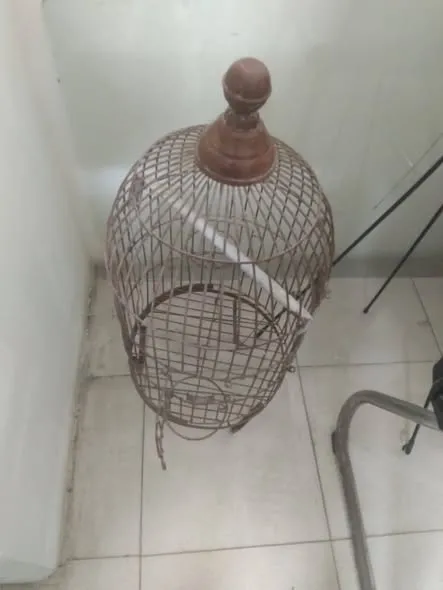 Parrot Cage – 9/10 Condition For Sale in Scheme 33 | Karachi Ads - photo 2