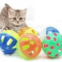 Pet Grooming Kit, Nail cutter, Cage, carry bag, Toys, Rope, litter, litter box, and much For Sale in Gulistan-e-Jauhar | Karachi Ads - photo 8