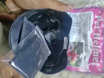 Pet helmet for dogs and cats For Sale in Gulistan-e-Jauhar | Karachi Ads
