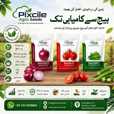 🌱 Pixcile Agro Seeds – Seeds of Success! 🌱