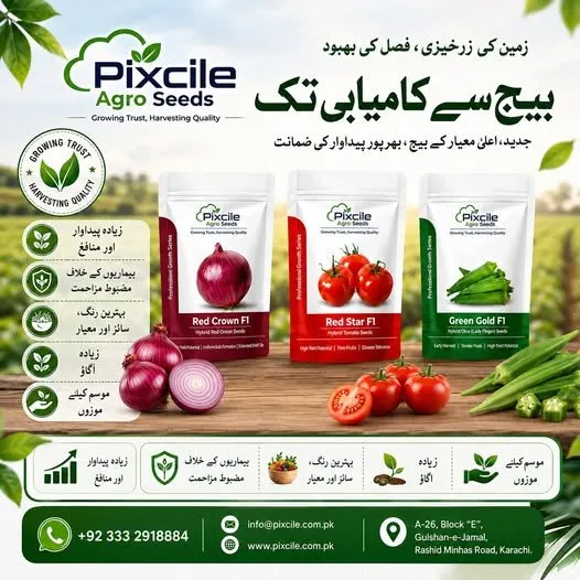 🌱 Pixcile Agro Seeds – Seeds of Success! 🌱 - photo 1