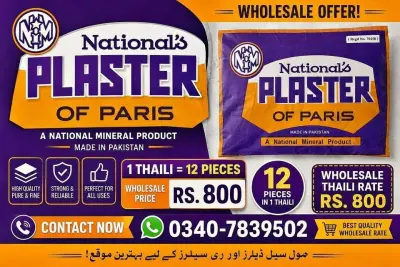 PLASTER OF PARIS