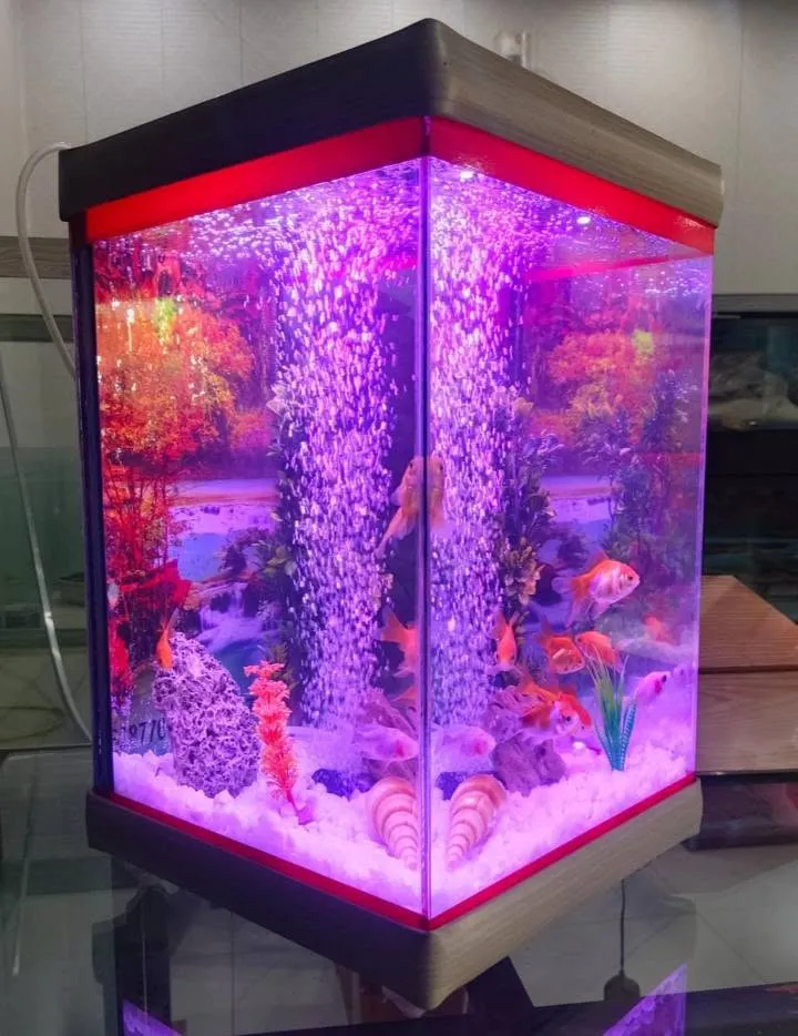 premium fish Aquarium For Sale in Gulistan-e-Jauhar | Karachi Ads - photo 2