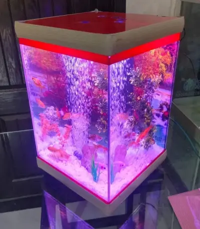 premium fish Aquarium For Sale in Gulistan-e-Jauhar | Karachi Ads - photo 3