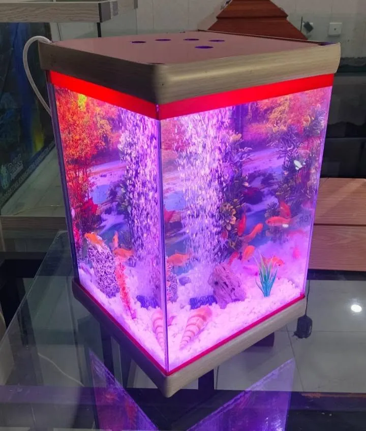 premium fish Aquarium For Sale in Gulistan-e-Jauhar | Karachi Ads - photo 4