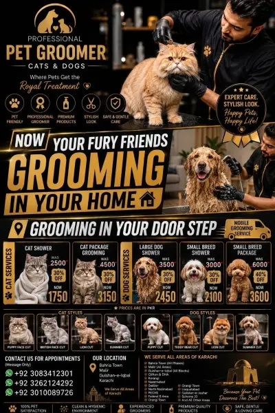Professional Pet Grooming at Your Doorstep! Give your furry friend the care they deserve. Clean, safe & stress-free grooming in the comfort of your home. For Sa