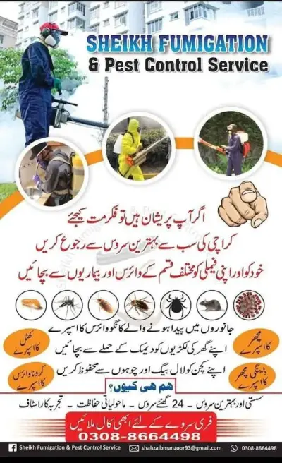 RAT Killer, cockroaches, Termite,over all insect killer in Gulistan-e-Jauhar | Karachi Ads - photo 2