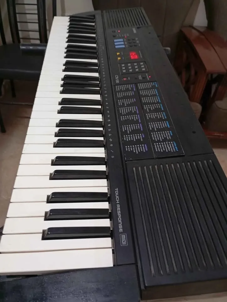 Selling Casio Ctk 530 Keyboard With Adapter And New Softcase Bag - photo 4