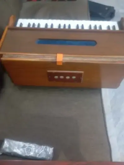 Selling Old Indian Harmonium Tik Wood NS Reeds With Softcase - photo 2