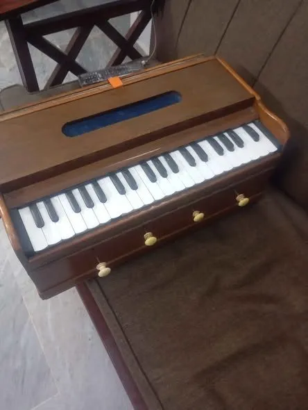 Selling Old Indian Harmonium Tik Wood NS Reeds With Softcase - photo 3
