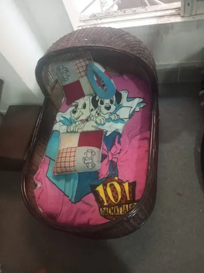 Selling this bed for cats For Sale in New Karachi | Karachi Ads