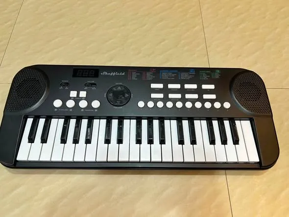 Sheffield SLM37-16 37-key electronic keyboard - photo 1