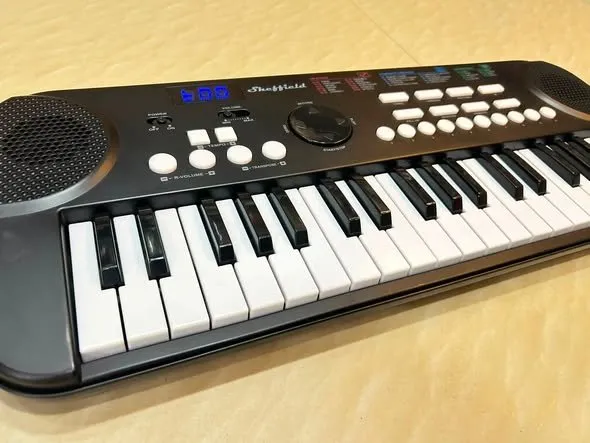 Sheffield SLM37-16 37-key electronic keyboard - photo 3