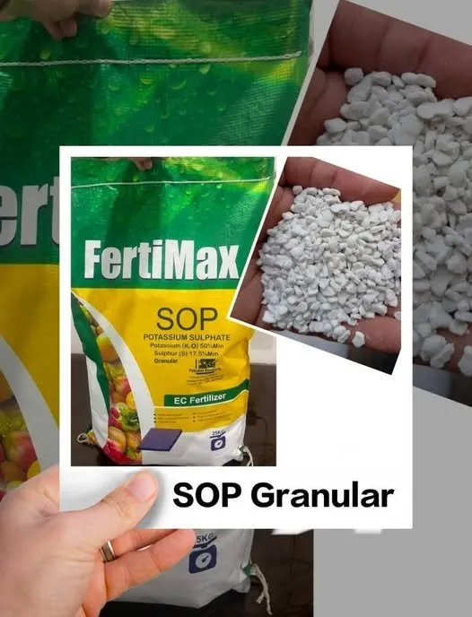 SOP Granular Stock Available with best price - photo 1