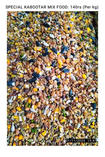 Special Kabootar mix food ( Dana For Sale in Gulistan-e-Jauhar | Karachi Ads
