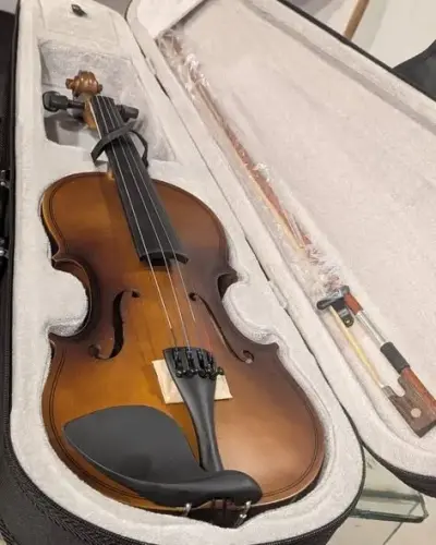 Violin 4/4 Size – High Volt (Full Wooden / Rosewood)