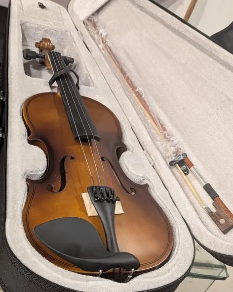 Violin 4/4 Size – High Volt (Full Wooden / Rosewood) - photo 1