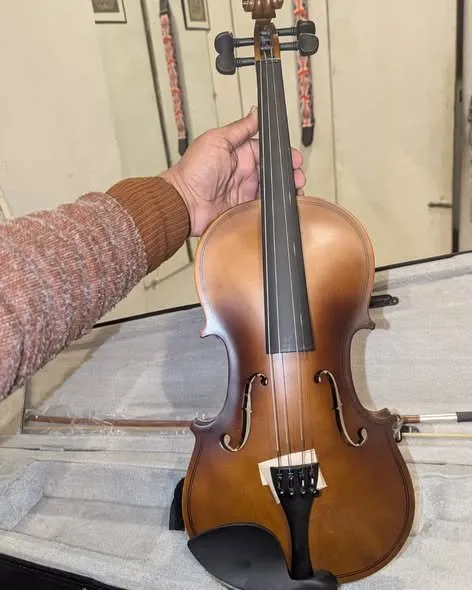 Violin 4/4 Size – High Volt (Full Wooden / Rosewood) - photo 2